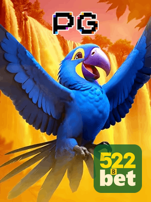 5522BET bônus — cashback 15 por cento e níveis VIP